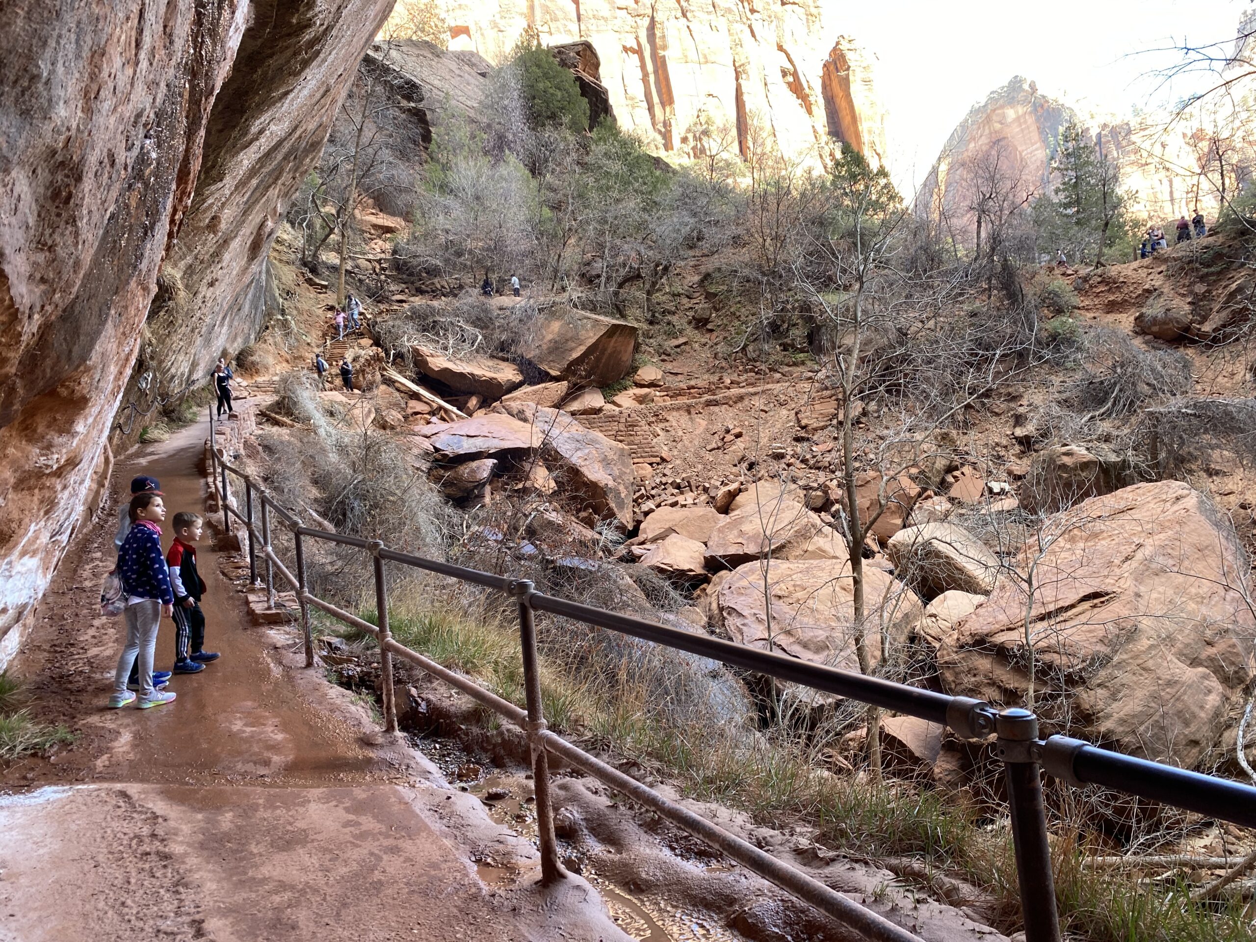 Checking out The Lower Emerald Pools at Zion National Park