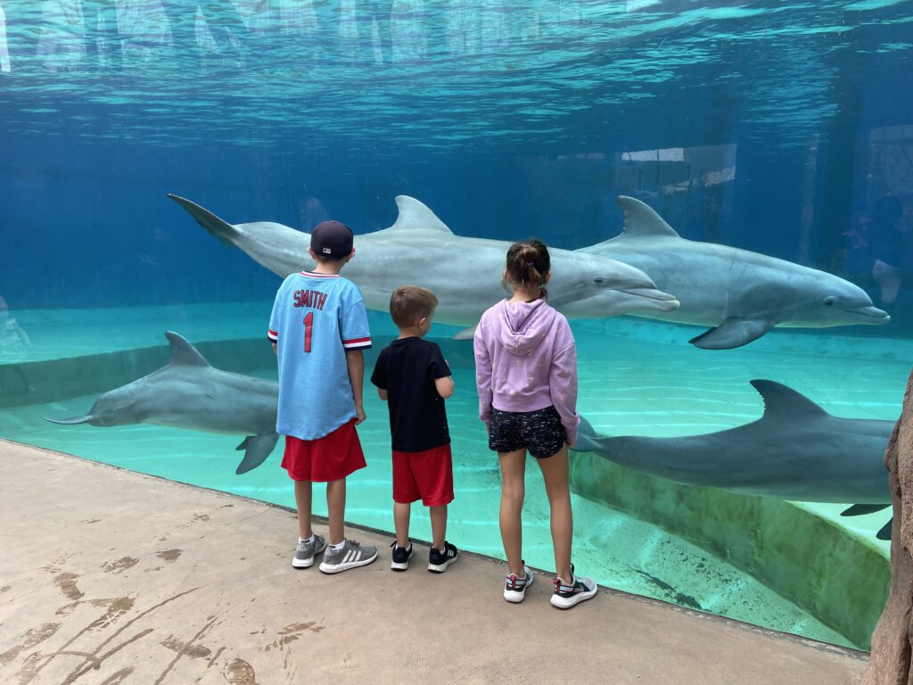 Family time at the Mississippi Aquarium